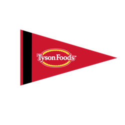 Image of Felt Pennant